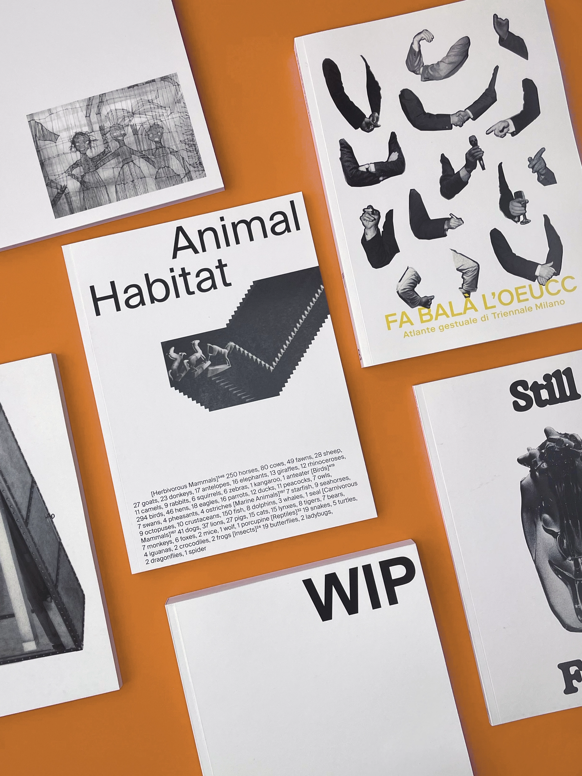CFP Bauer Milano Progetto Editoriale